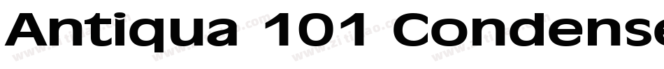 Antiqua 101 Condensed Bold字体转换